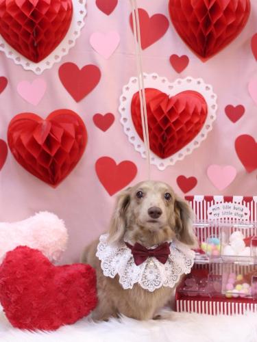 20240209ぺこちゃん